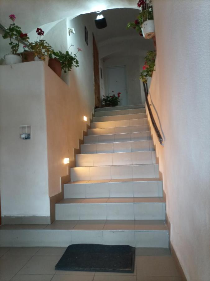 Gloria Apartments Sighisoara Exterior photo
